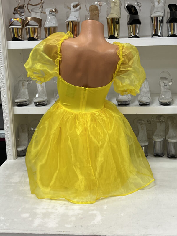 Frosted Organza Babydoll Dress - Image 4