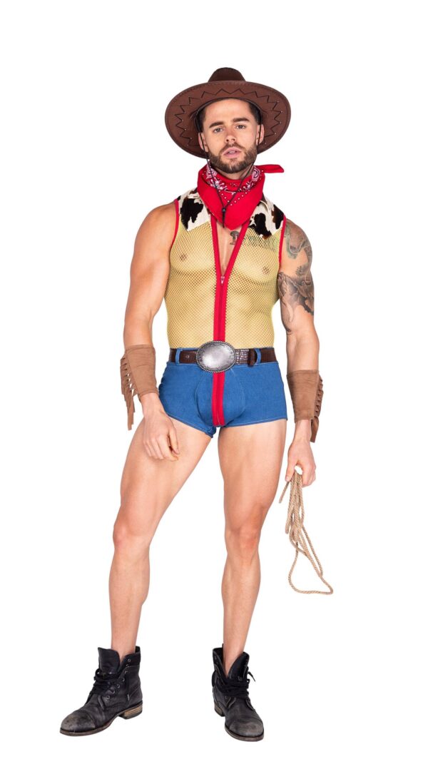 Playful Sheriff Mens Costume