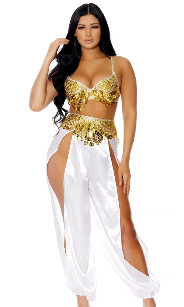 Harem Nights Sexy Belly Dancing Costume - Image 4