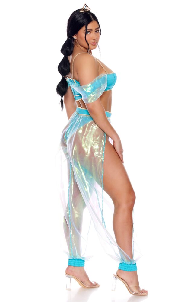 A Whole New World Sexy Princess Costume - Image 2