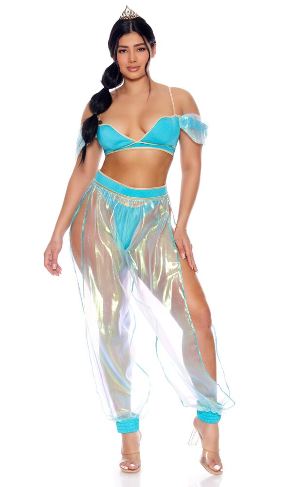 A Whole New World Sexy Princess Costume - Image 4