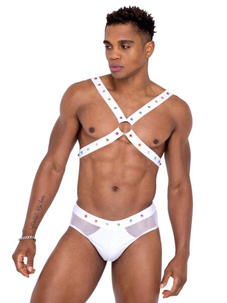 6336 - Mens Pride Fishnet & Vinyl Briefs
