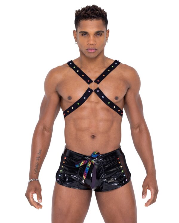 6337 - Mens Pride Harness - Image 5