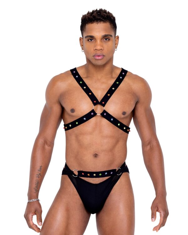 6337 - Mens Pride Harness - Image 3