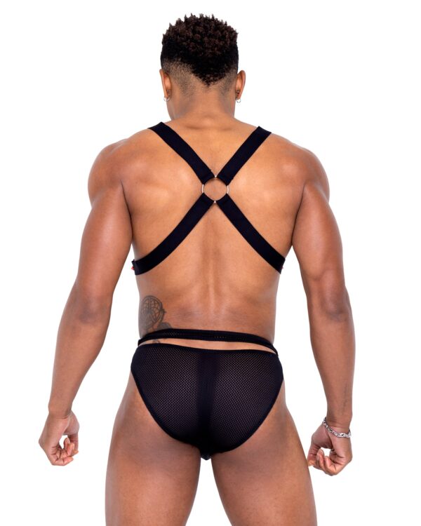 6337 - Mens Pride Harness - Image 4
