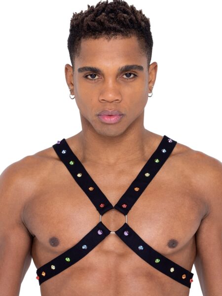 6337 - Mens Pride Harness