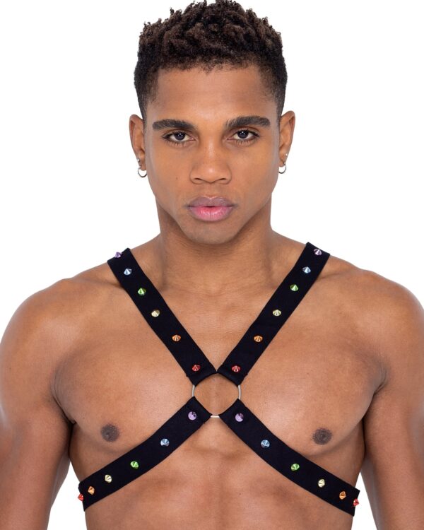 6337 - Mens Pride Harness