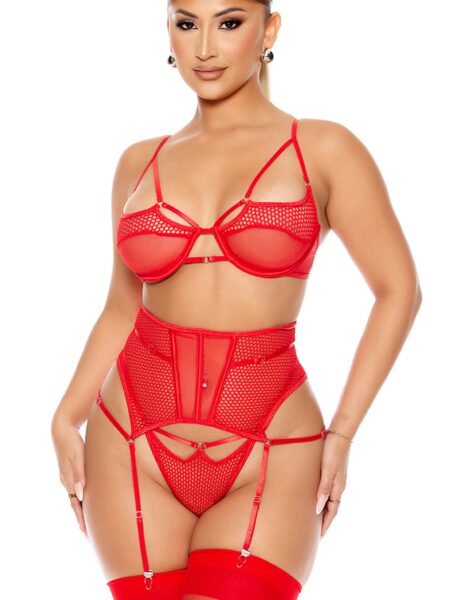 Caught Up O-Net Bra and Waist Cincher Lingerie Set - Red