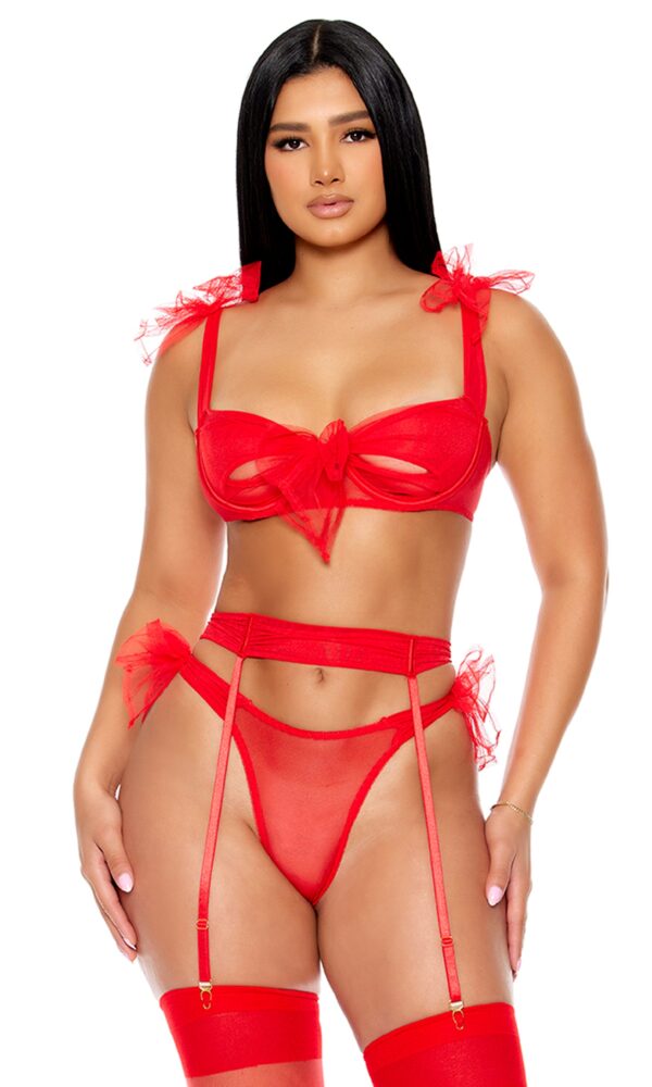 Unwrap Me Mesh Bow and Garter Belt Lingerie Set - Red