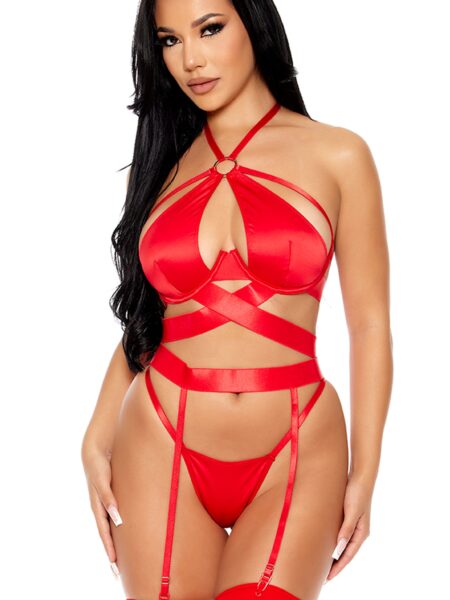 Soft Life Satin Longline Bra Lingerie Set - Red