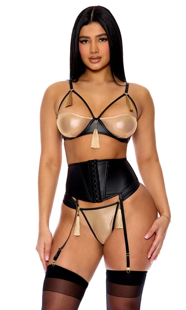 Show Stopper Metallic Mesh Bra and Waist Cincher Lingerie Set - Black Gold