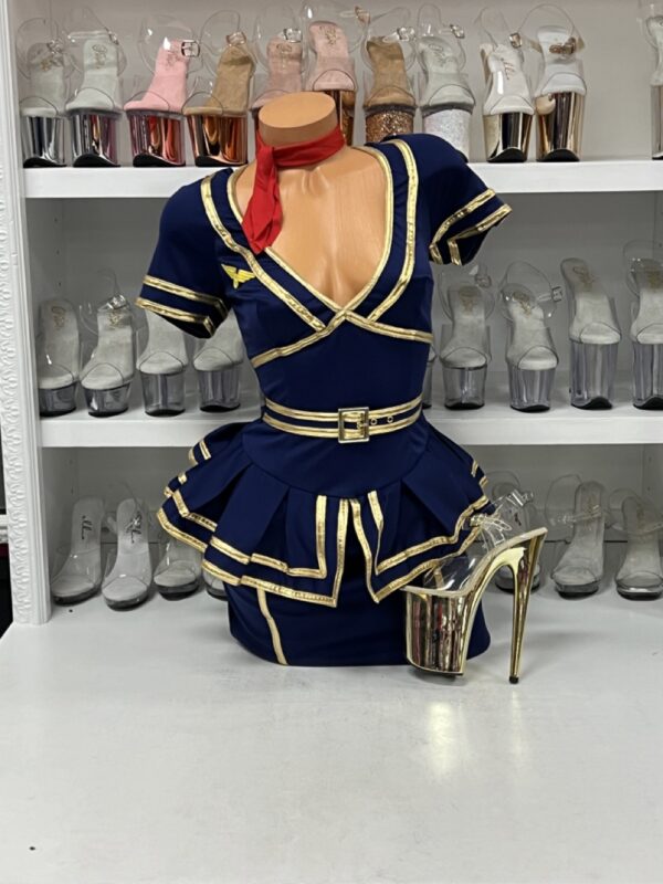 Friendly Skies Flight Attendant - Image 2
