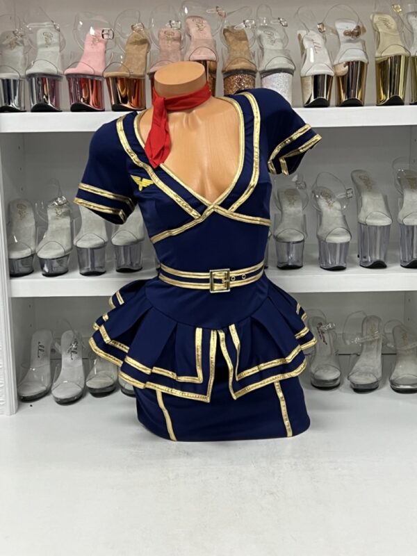 Friendly Skies Flight Attendant - Image 3
