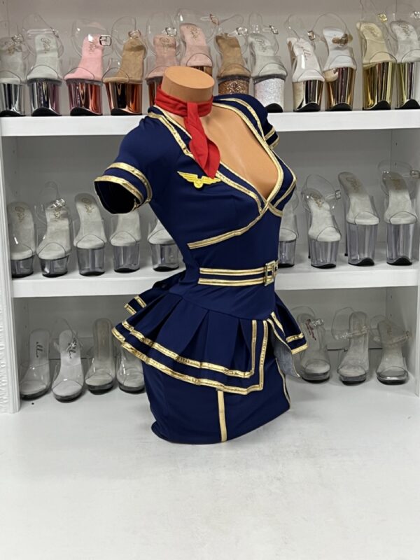 Friendly Skies Flight Attendant - Image 4