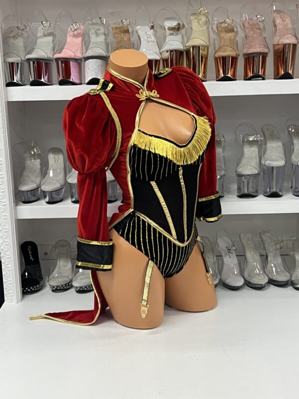 Ravising Ringmaster - Image 4