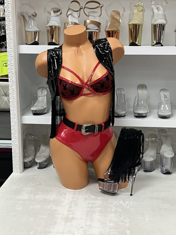 Buckaroo Cowgirl - Image 2