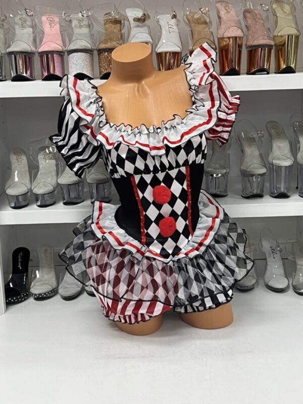 Darling Harlequin - Image 3
