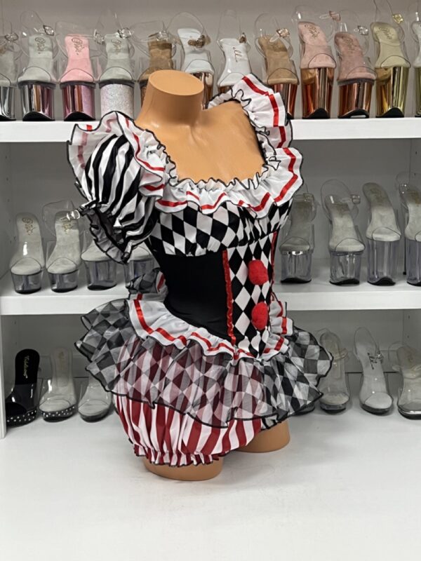 Darling Harlequin - Image 4