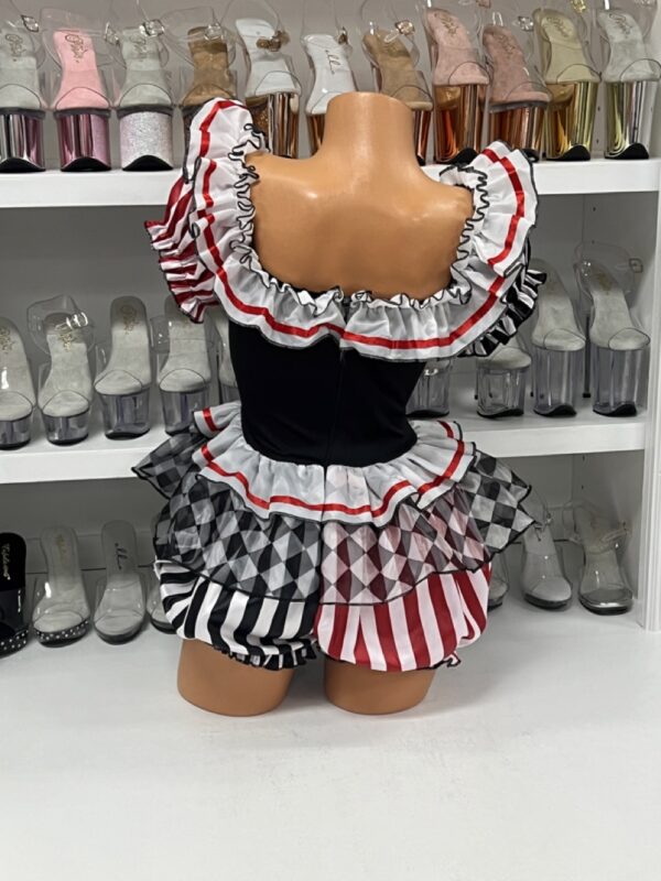 Darling Harlequin - Image 5