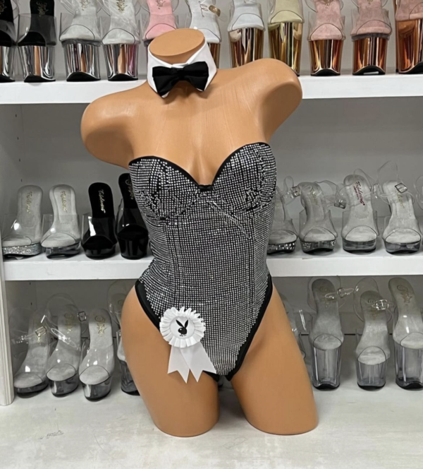 Silver Rhinestone Bunny Costume - Image 3