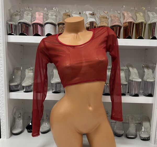 Long Sleeve Mesh Crop Top