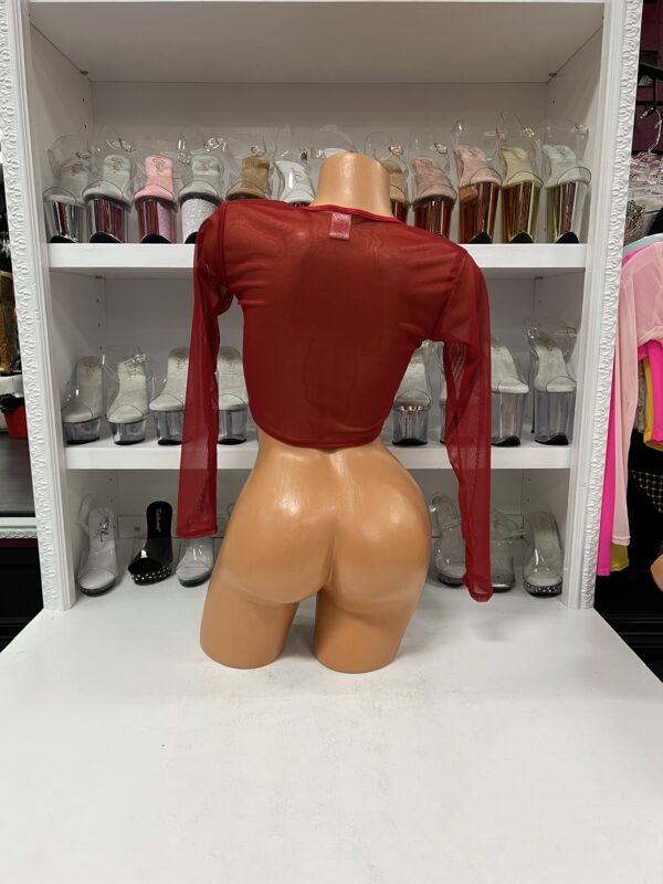 Long Sleeve Mesh Crop Top - Image 3