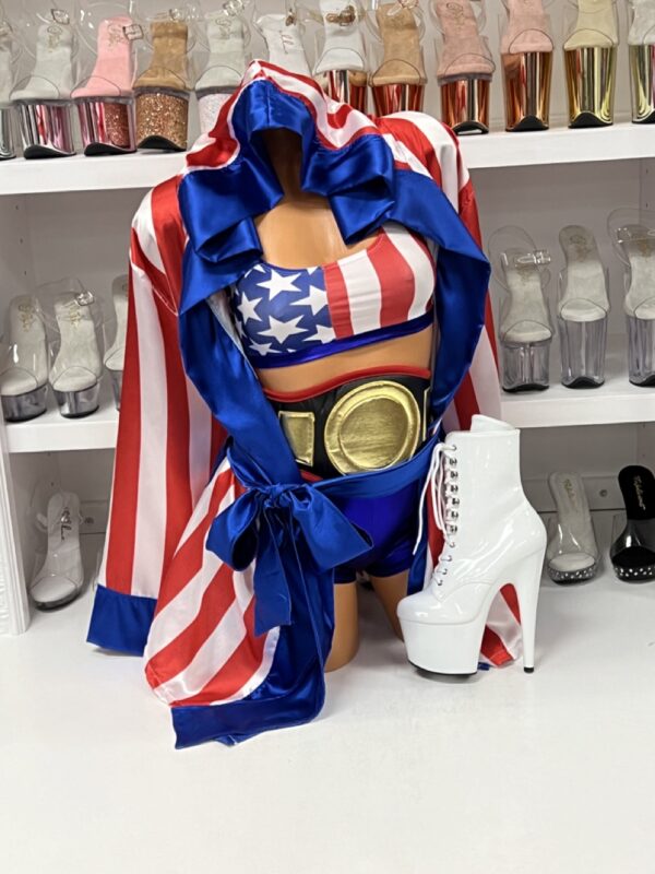 Get 'Em Champ Sexy Boxer Costume