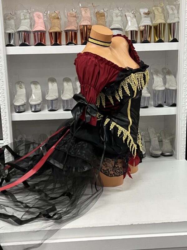 Seven Seas Pirate - Image 4
