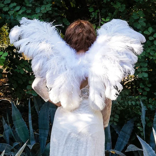 Ostrich Wings White