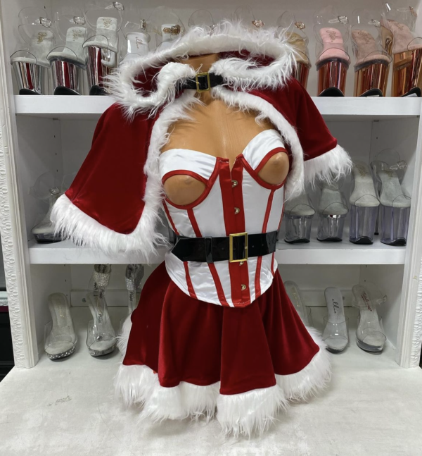 North Pole Vixen - Image 2