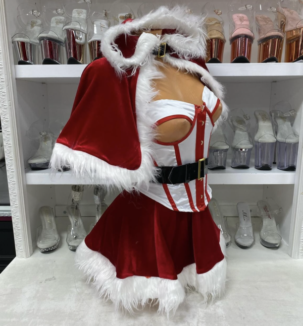 North Pole Vixen - Image 4