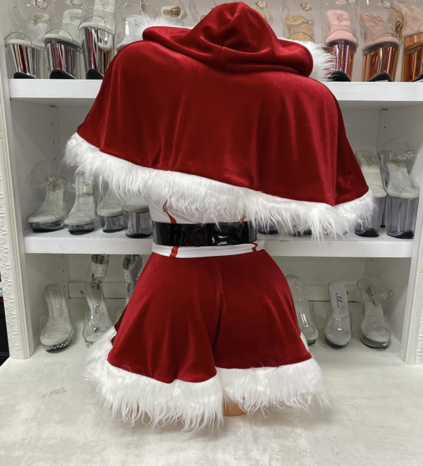 North Pole Vixen - Image 3
