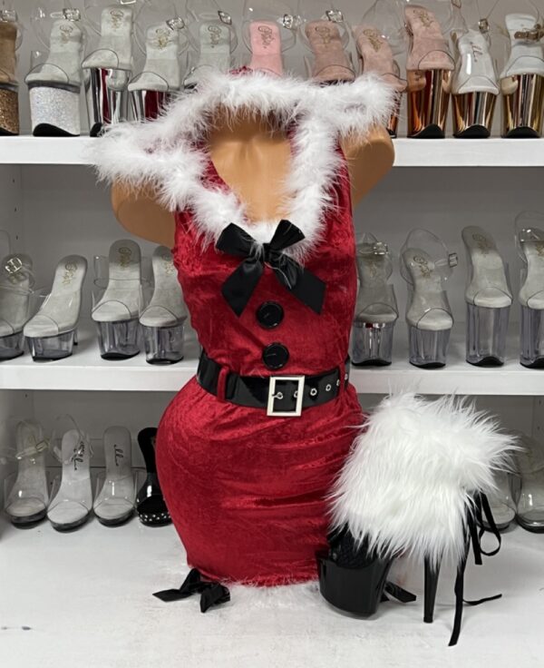 Santa's Helper