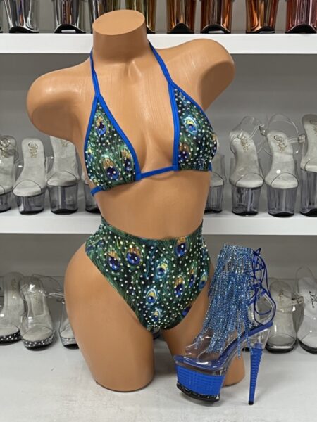 Peacock Rhinestone Bikini Top with High Waist Bottoms — Pleasure Zone Houston