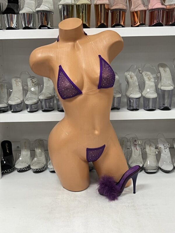 Purple Mesh Rhinestone Bikini