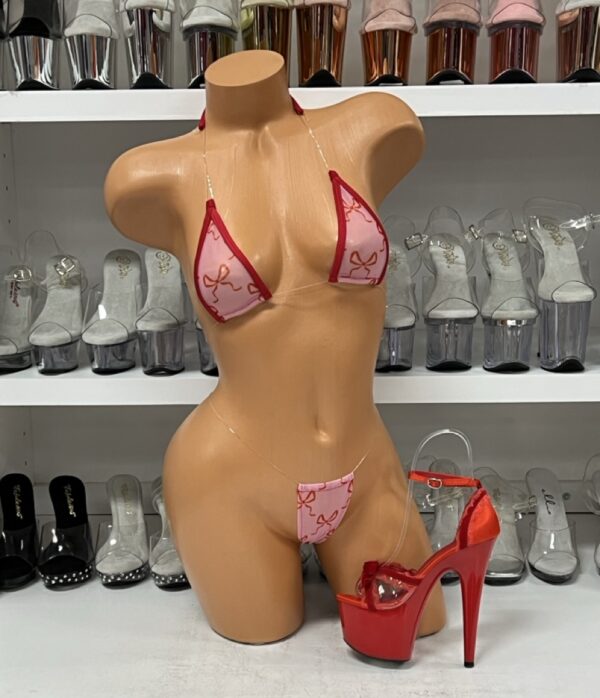 Dark Pink and Red Two Piece Bikini with Bow Prints
