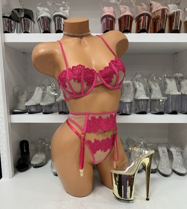 Fuchsia Lace and Mesh 3 Piece Set