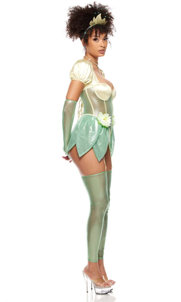 Kissing Frogs Princess Costume - Image 3