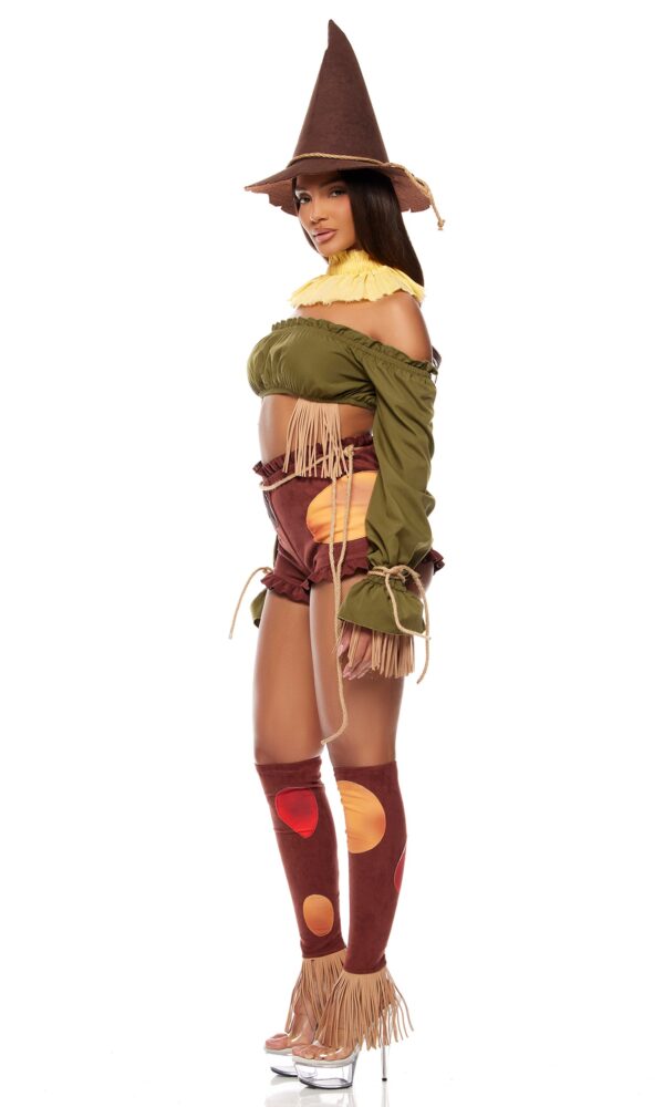 Straw For Brains Storybook Costume - Image 3