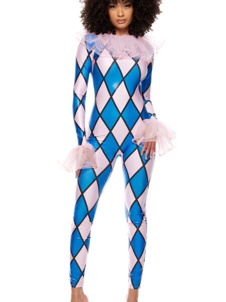 Take a Jest Clown Costume