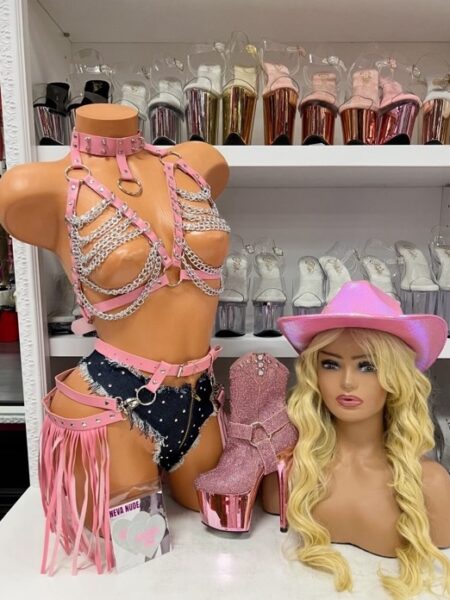 Pink Fringe Cowgirl Set with chain bra, studded bottoms, and pink fringe details