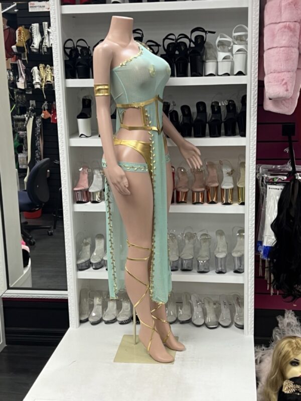 Grecian Goddess Costume - Image 3