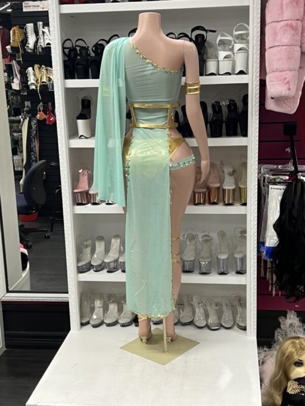Grecian Goddess Costume - Image 5
