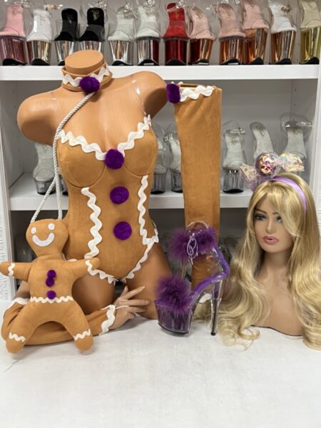 Gingerbabe Costume with teddy, leg warmers, purse, and candy-inspired headpiece