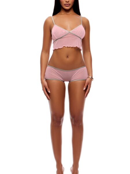 Home Body 2-Piece Sheer Mesh Cami and Boyshorts Set – Pink – Pink — Pleasure Zone Houston