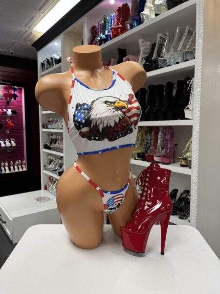 Patriot Eagle Bikini Set with bald eagle graphic halter top and patriotic matching thong.