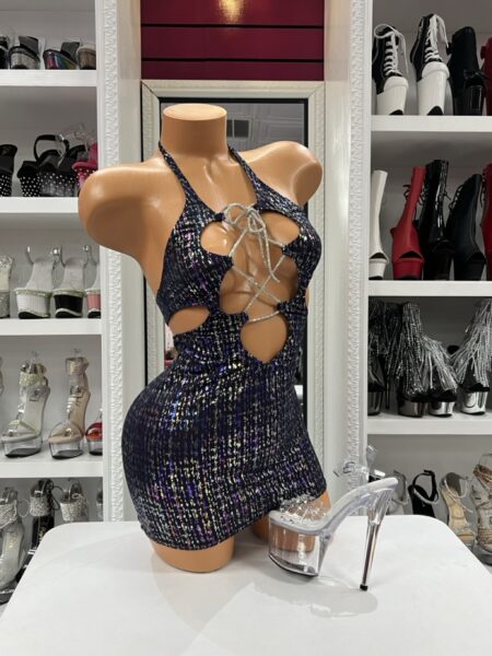 Turn heads in this shimmering mini dress featuring sparkling multicolor accents, dramatic front cutouts, and dazzling rhinestone lace-up detailing. Designed with a flattering bodycon fit, this statement piece is perfect for performances, nightlife, festivals, themed events, and unforgettable photo shoots.