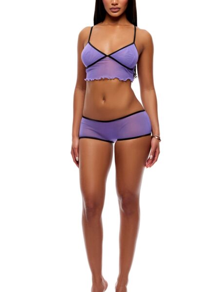 Home Body 2-Piece Sheer Mesh Cami and Boyshorts Set - Purple - Purple
