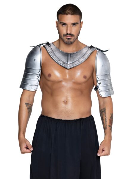 Men's 4 PC Armor Costume Kit, Includes Molded Chest and Back Plate with Shoulder Guards, Connected with Adjustable Buckle Straps. - SILVER