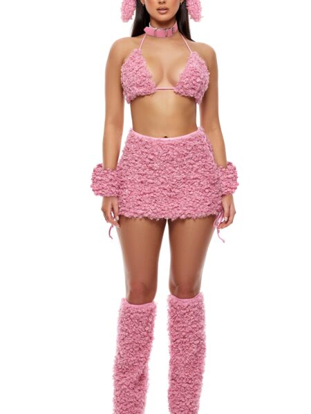 Hold My Poodle 6-Piece Poodle Costume Set